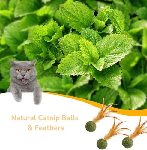 4 - Pack Cat Toy Balls with Catnip - PawGeni