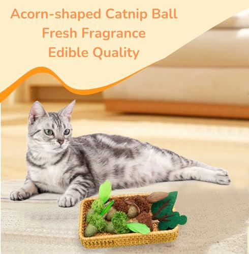 4 - Pack Catnip & Cecidium Balls - PawGeni