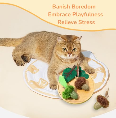 4 - Pack Catnip & Cecidium Balls - PawGeni