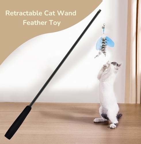 Feather Teaser Cat Toy - PawGeni