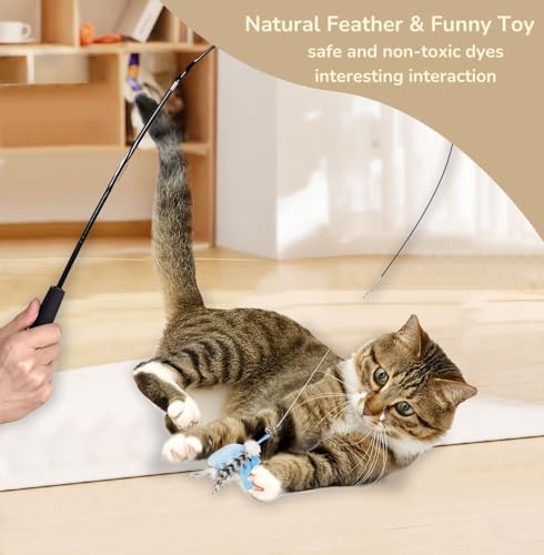 Feather Teaser Cat Toy - PawGeni