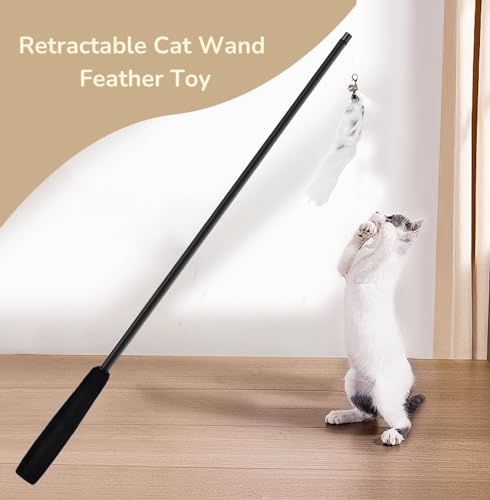 Feather Teaser Cat Toy - PawGeni