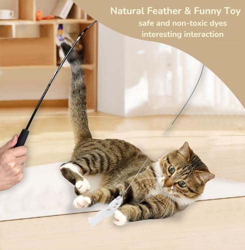 Feather Teaser Cat Toy - PawGeni