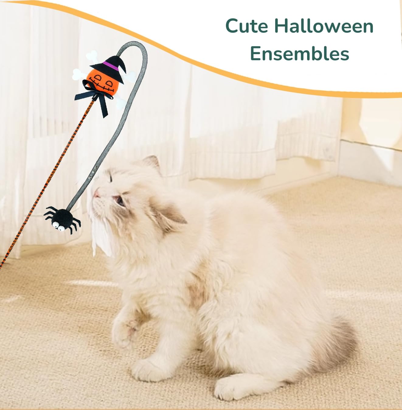 Halloween Cat Toy Set - PawGeni