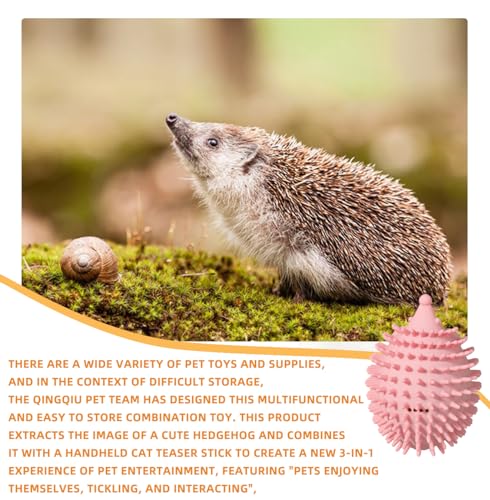 Interactive Hedgehog Cat Brush - PawGeni