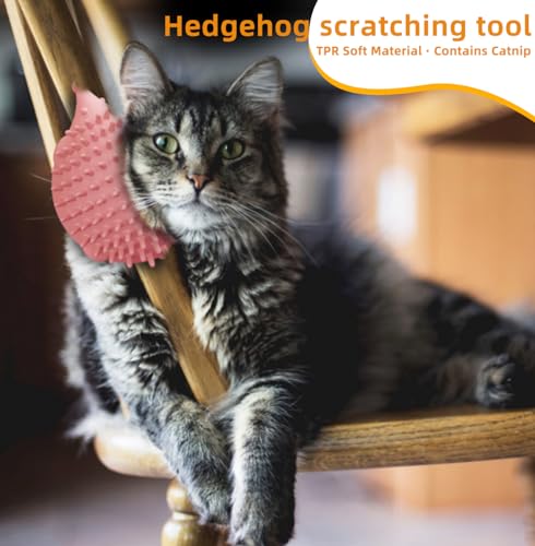 Interactive Hedgehog Cat Brush - PawGeni