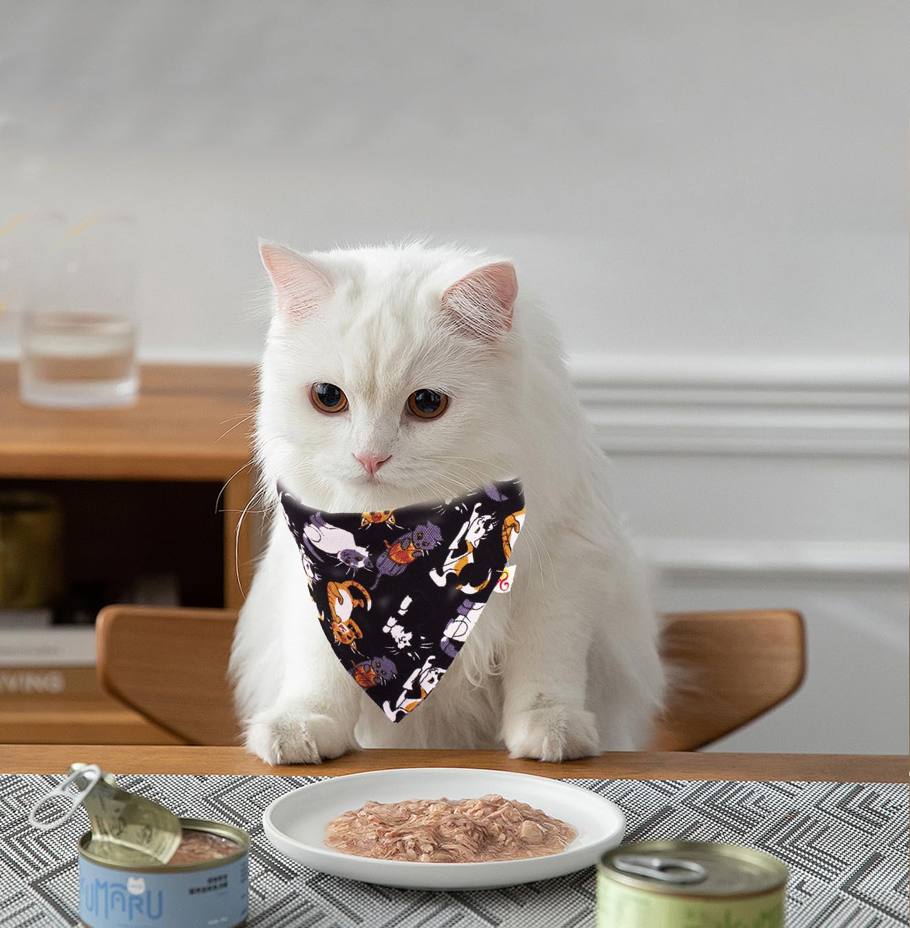 Pet Collar and Bandana (Pack of 5) - PawGeni