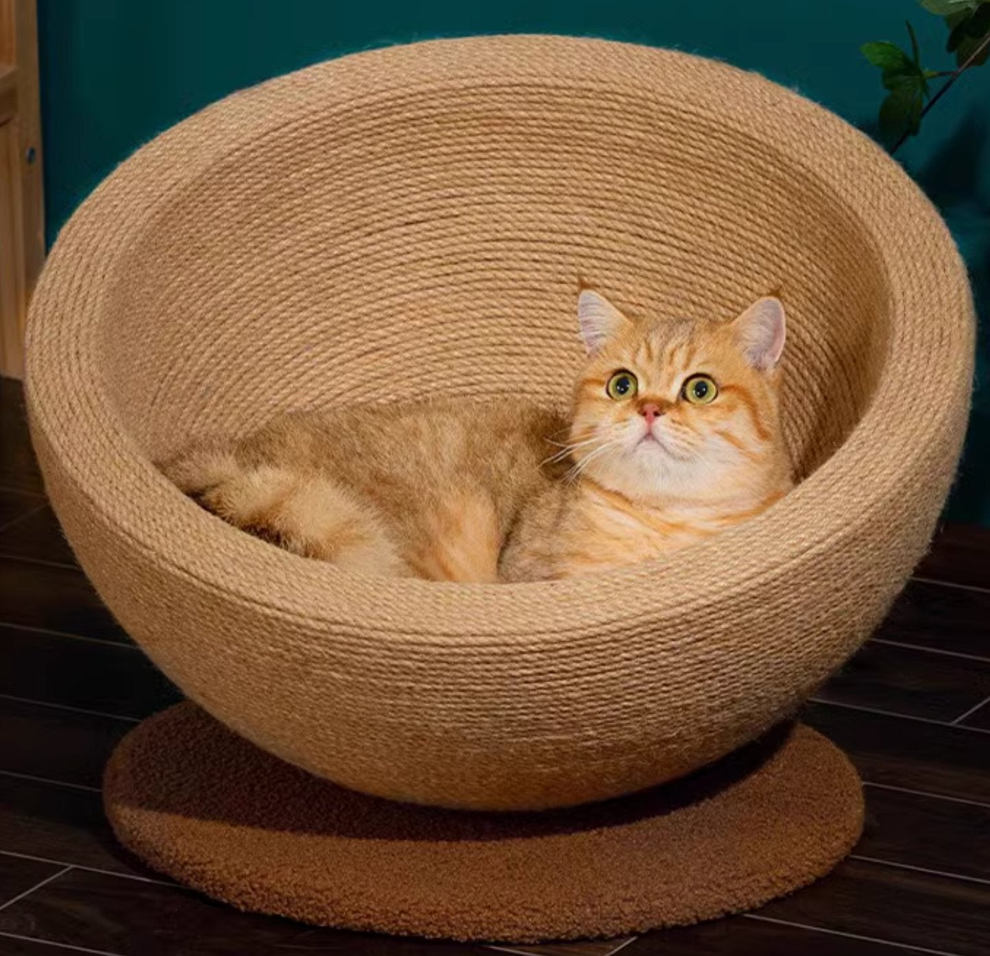 [Pre - order] All - Sisal Cat Bed - PawGeni