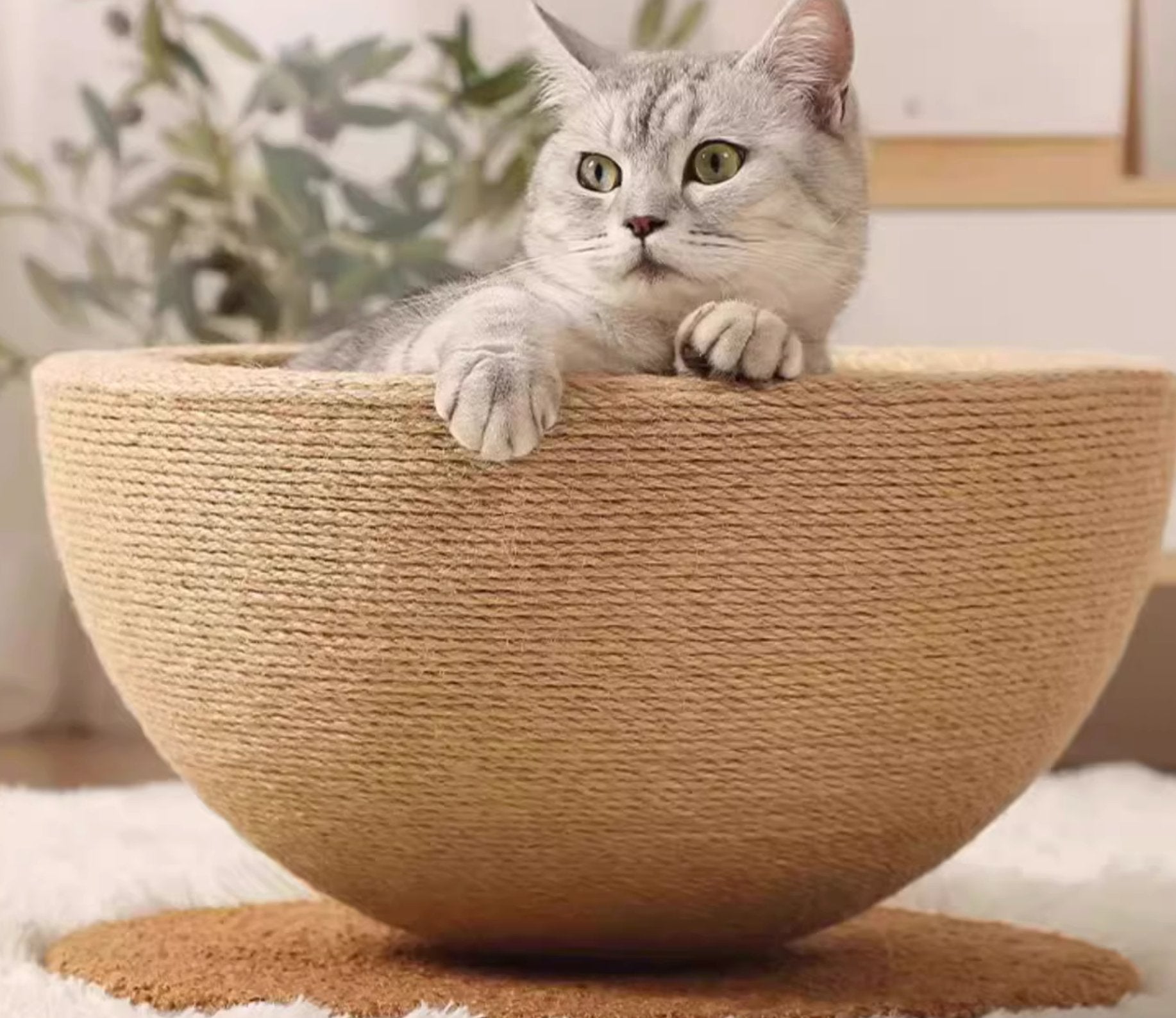 [Pre - order] All - Sisal Cat Bed - PawGeni